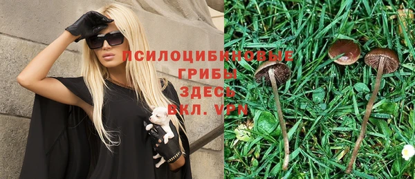 хмурый Алексин