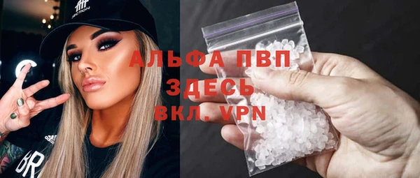 хмурый Алексин