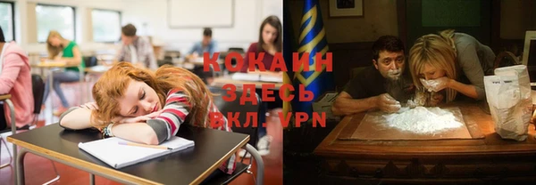 ГАЛЛЮЦИНОГЕННЫЕ ГРИБЫ Сатка