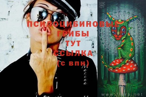 хмурый Алексин