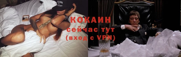 хмурый Алексин