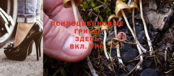 хмурый Алексин