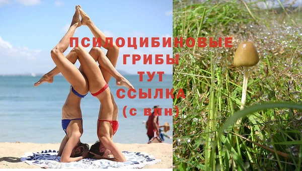 мескалин Алзамай