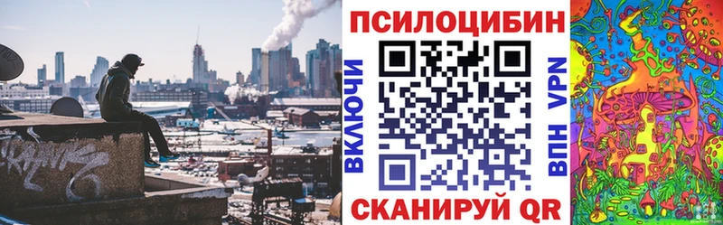где можно купить наркотик МЕГА как войти Псилоцибиновые грибы ЛСД Лагань